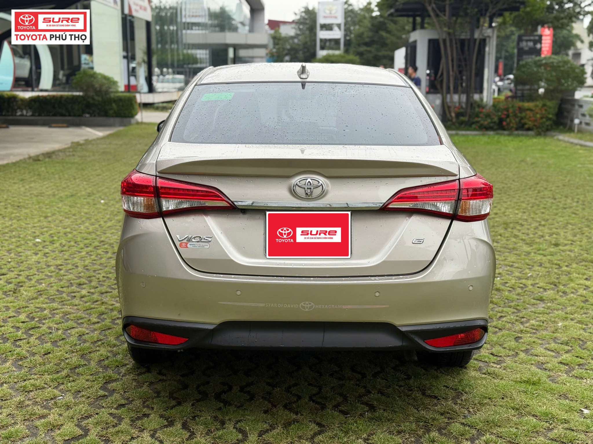 TOYOTA VIOS 1.5G - 2025